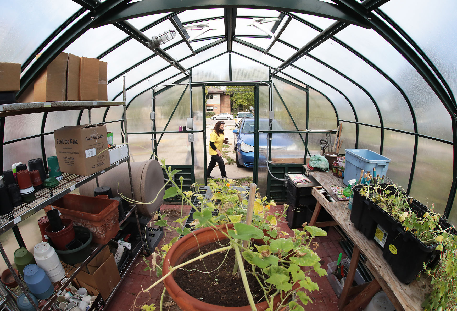 Greenhouse